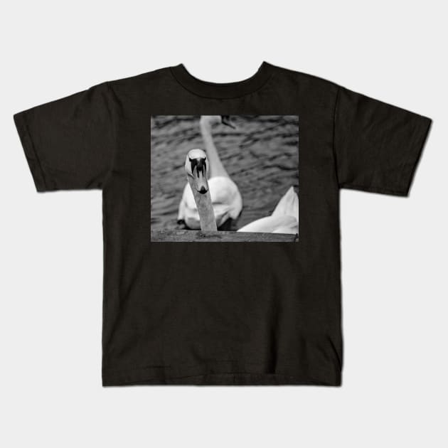 Mute swan portrait Kids T-Shirt by yackers1